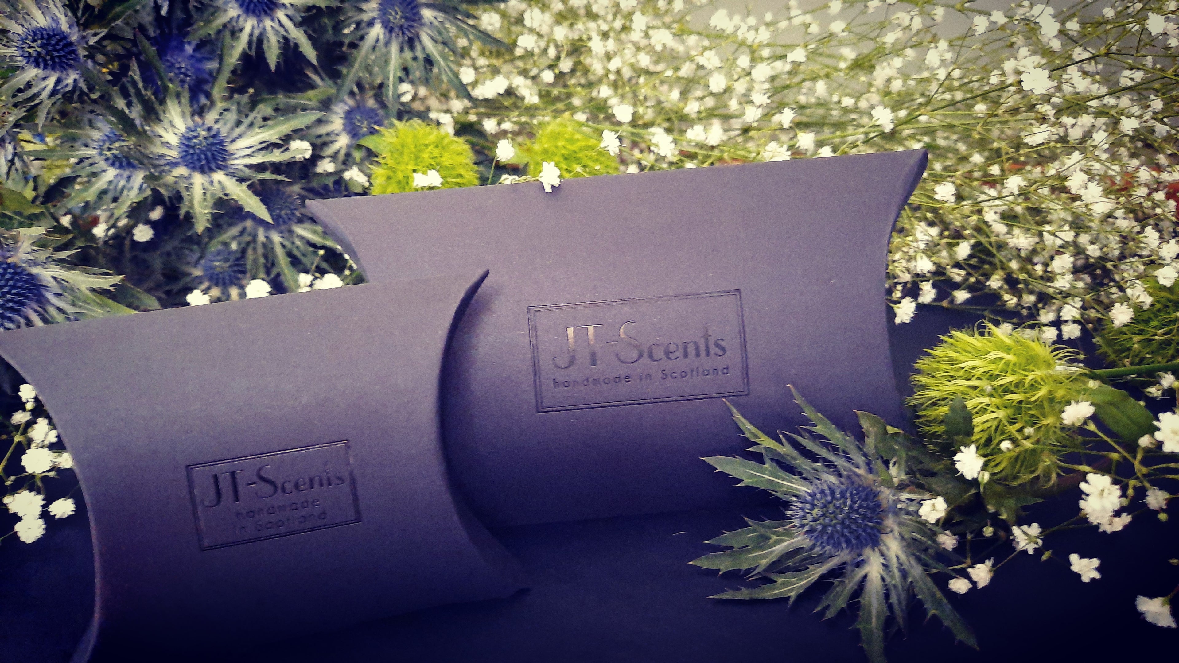 Two black JT-Scents wax melt packaging styled with green thistles and white baby's breath flowers on a dark surface.